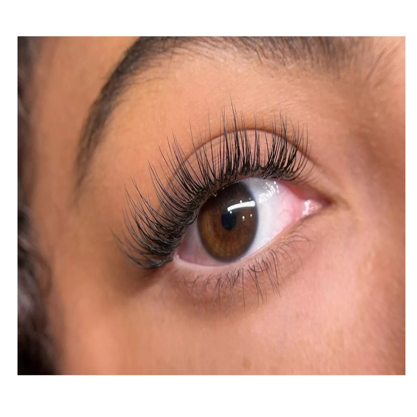 The Fairy Lash Kit