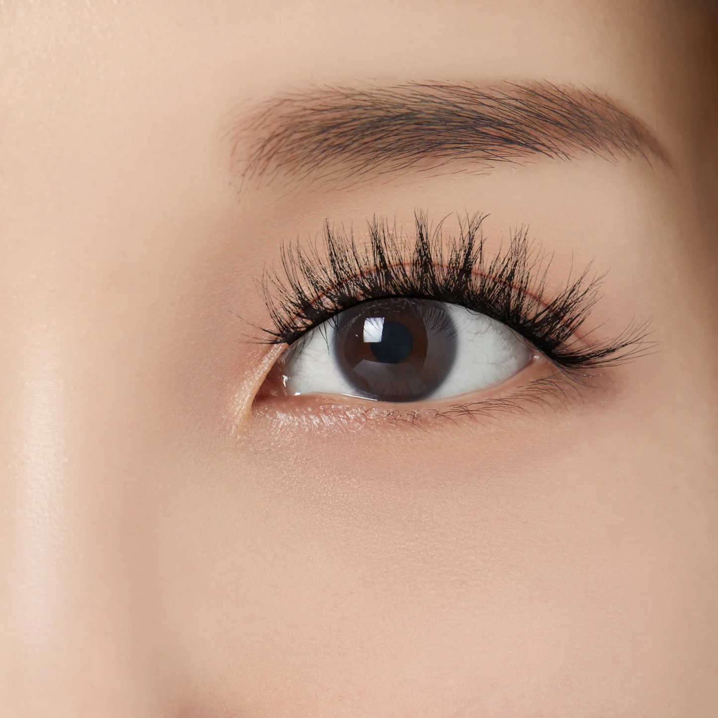 Venus Lash Kit