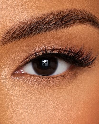 3/4 Lash - Baby Lash
