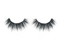 Load image into Gallery viewer, Dolled Up Kit #1 Magnetic Eyelashes
