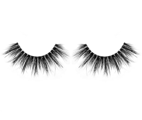 Lash Envy Collection: Bebe