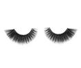 Load image into Gallery viewer, Lash Envy Collection: Angelic Look Eyelashes
